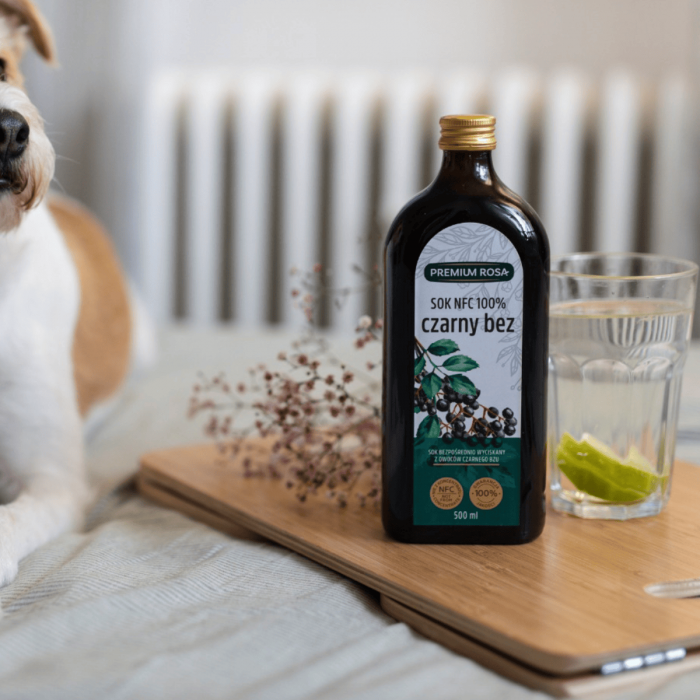 NFC elderberry juice 100%