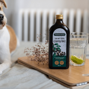 NFC elderberry juice 100%