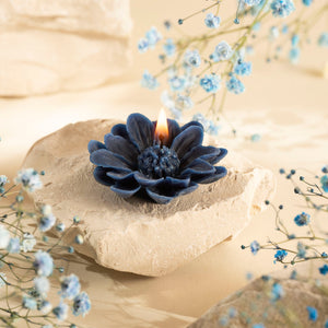 Bivokslys - Margaretka - blå