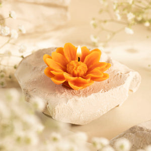 Bivokslys - Margaretka - oransje